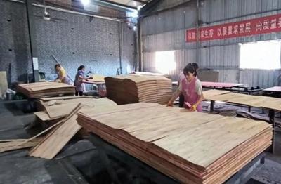 調研賦能產業興 牡丹區政協主席葛廣亮深入考察木材加工與家具產業發展