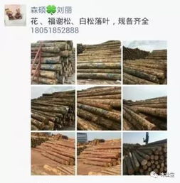 履約思源，不忘初心——2017年4月2日精品木材銷售信息發布